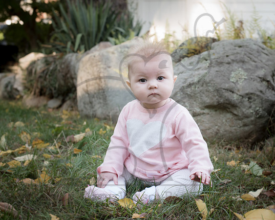 CWRPhotography_Family_Muzzy2016-7598