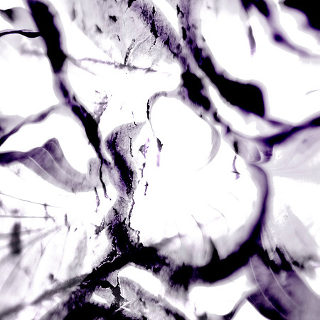 PosterizeOverlay