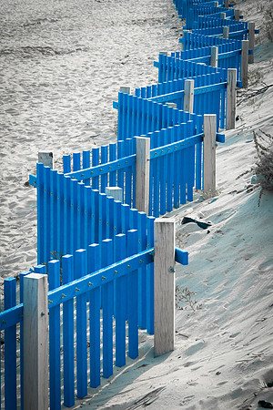 _DSC0223