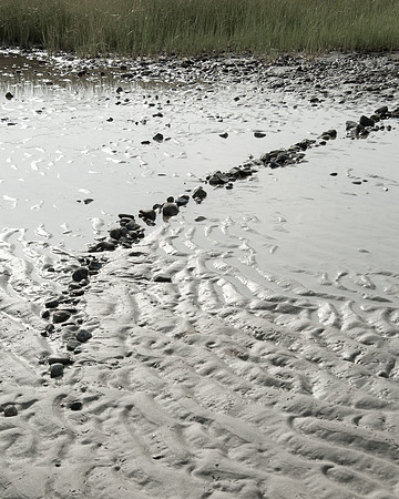 Cape Cod38