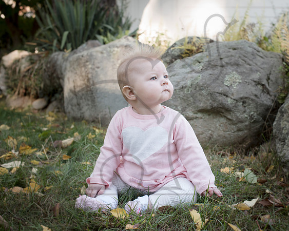 CWRPhotography_Family_Muzzy2016-7602