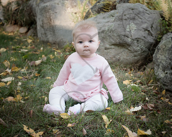 CWRPhotography_Family_Muzzy2016-7613