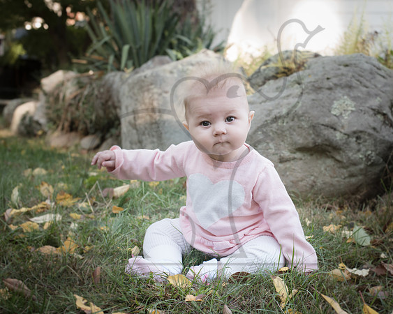 CWRPhotography_Family_Muzzy2016-7608