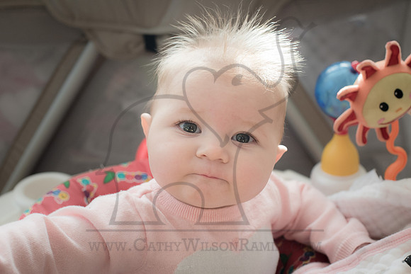 CWRPhotography_Family_Muzzy2016-7689